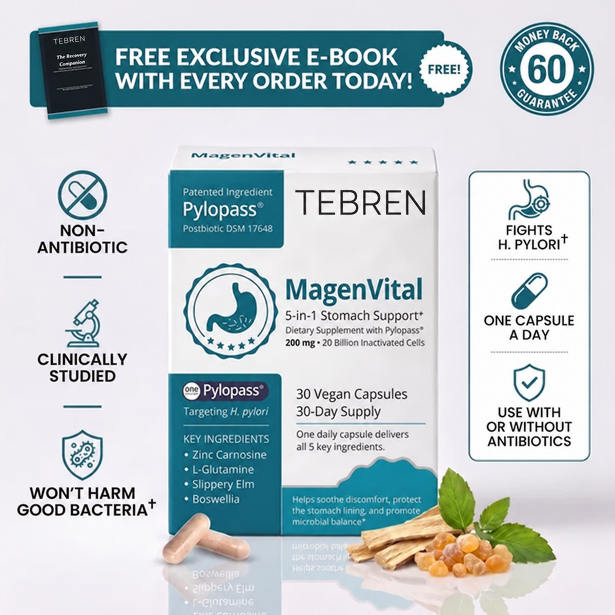 Targeted H. Pylori Probiotic + Stomach Lining Support — 200mg Pylopass®