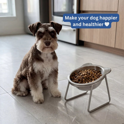 Rosvelta Neutral Neck Orthopedic Dog Feeder
