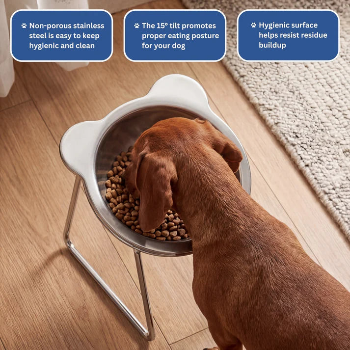 Rosvelta Neutral Neck Orthopedic Dog Feeder