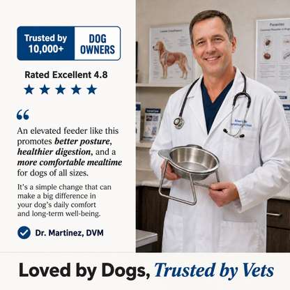 Rosvelta Neutral Neck Orthopedic Dog Feeder